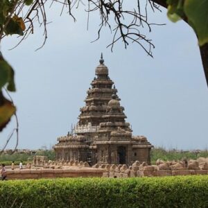 SUR DE LA INDIA 11 DÍAS