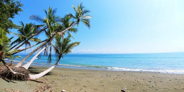 Paquete a Costa Rica con playa Manuel Antonio
