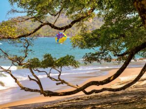 TOUR PLAYA EN MANUEL ANTONIO