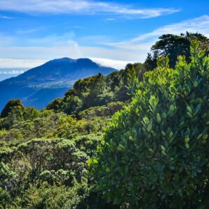 COSTA RICA AVENTURA 10 DÍAS