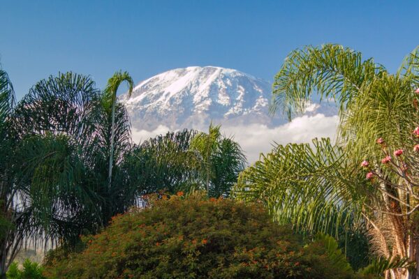 AVENTURA EN KENYA Y TANZANIA CON LAGO EYASI 10 DÍAS