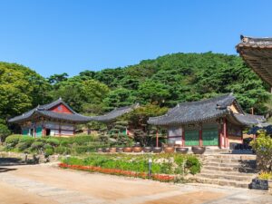 BEAUTIFUL JEJU & SEUL 7 DÍAS