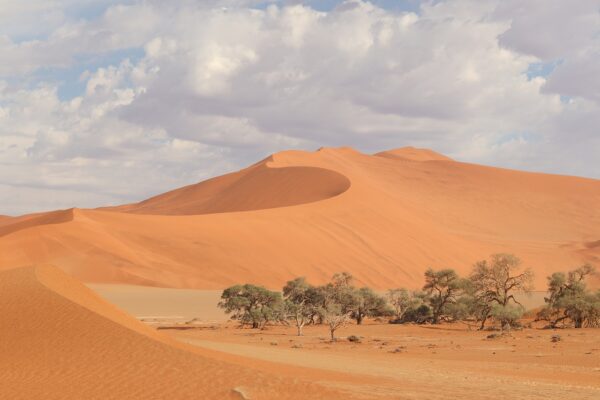 NAMIBIA FASCINANTE Y DESIERTO DE KALAHARI 9 DÍAS