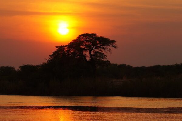 BOTSWANA CLASSIC BOTSWANA CLASSIC 7 DÍAS