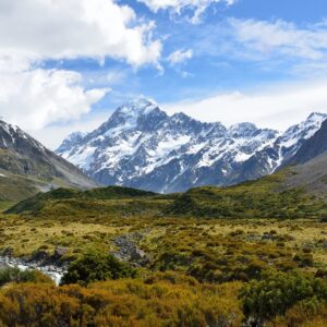 NUEVA ZELANDA 9 DÍAS