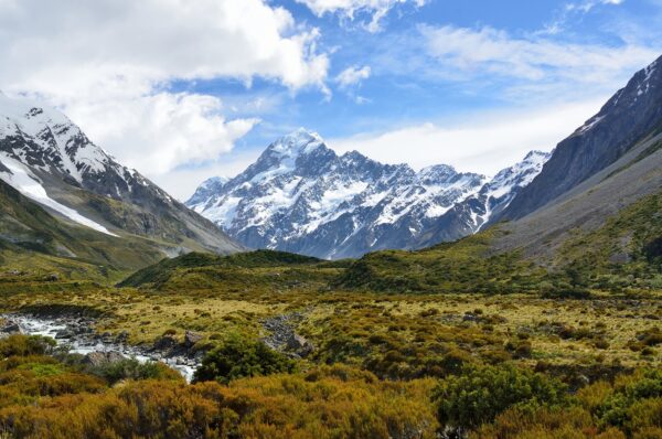 NUEVA ZELANDA 9 DÍAS