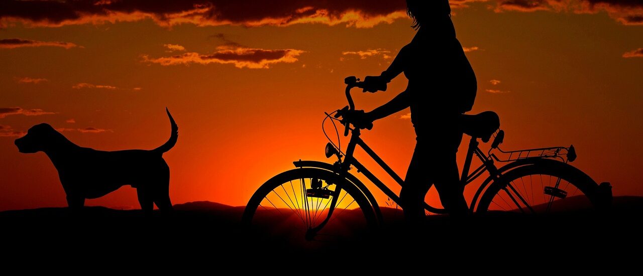 woman bike sunset walk silhouettes 2711279