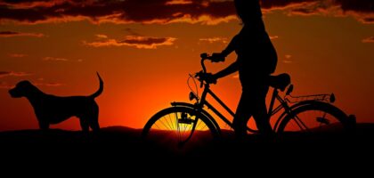 woman bike sunset walk silhouettes 2711279