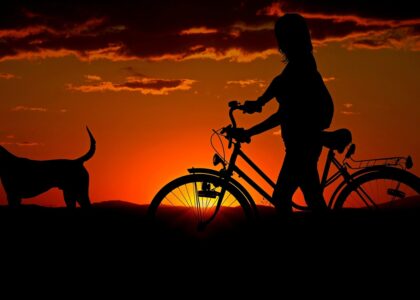 woman bike sunset walk silhouettes 2711279