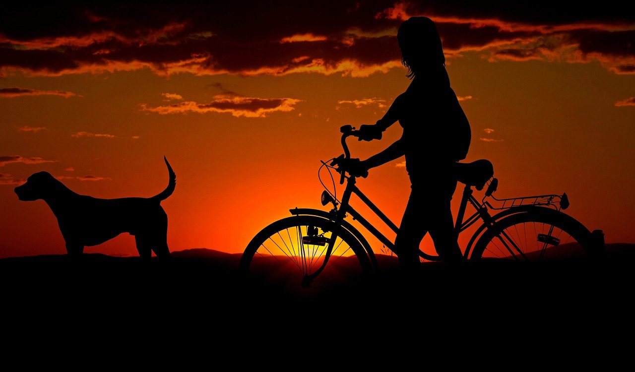 woman bike sunset walk silhouettes 2711279