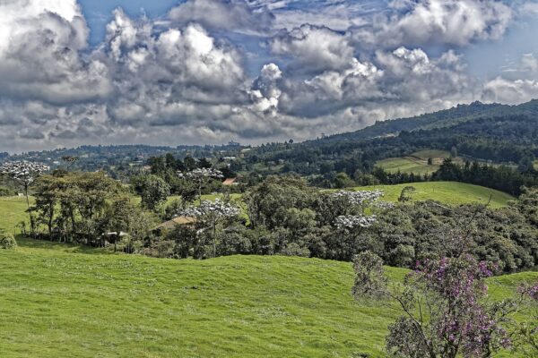 TOUR: CULTURA SILLETERA Y FLORES DE SANTA ELENA EN MEDELLÍN