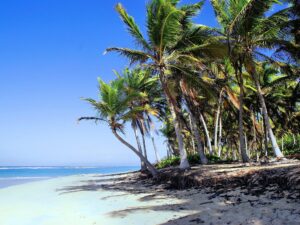 MARINARIUM SNORKELING CRUISE IN PUNTA CANA