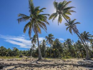 SUPREME TRUCK SAFARI PUNTA CANA