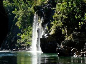 TOUR: CAMINATA ECOLÓGICA – CASCADA DE “LA MIEL” EN MEDELLÍN
