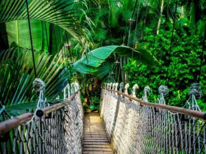 SÃO PAULO MANAUS – SELVA AMAZÔNICA RIO DE JANEIRO 9 DIAS