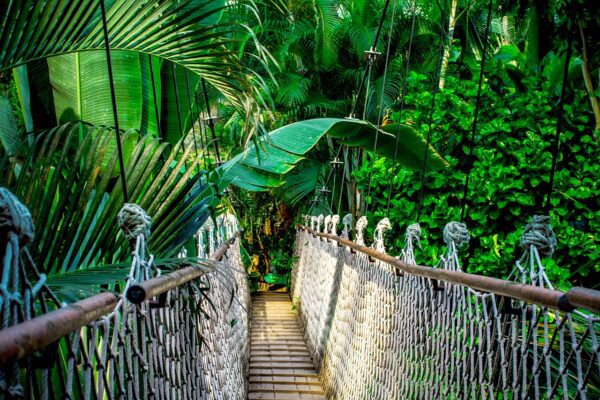 SÃO PAULO MANAUS – SELVA AMAZÔNICA RIO DE JANEIRO 9 DIAS