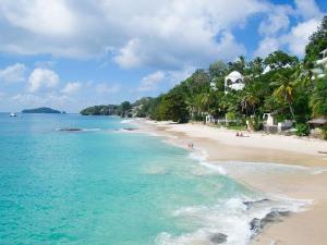 TOUR PASA DÍA ISLA CONTADORA PANAMÁ