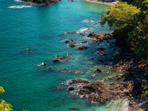 Camina entre selva, observa fauna y relájate en playas espectaculares rodeadas de naturaleza con Kroa.net.