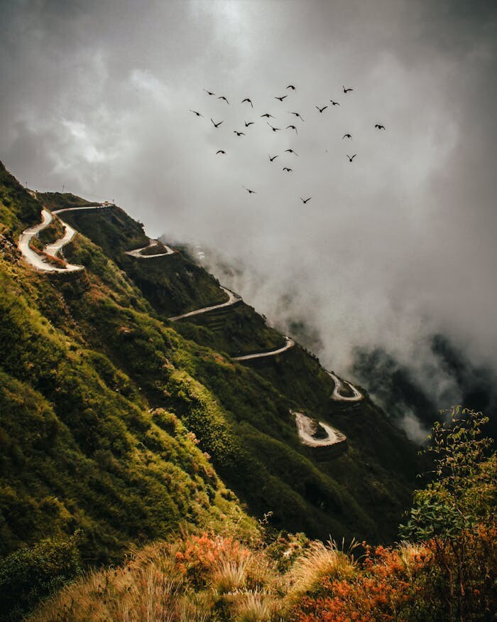 A dramatic view of a winding mountain road surrounded by lush greenery and a flock of birds under a cloudy sky.