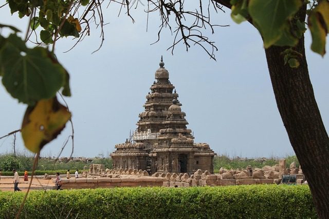 SUR DE LA INDIA 11 DÍAS