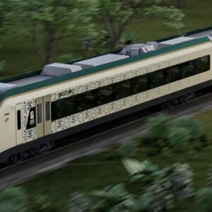 PAQUETE TREN MAYA