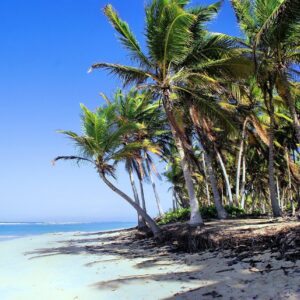 MARINARIUM SNORKELING CRUISE IN PUNTA CANA
