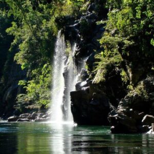 TOUR: CAMINATA ECOLÓGICA – CASCADA DE “LA MIEL” EN MEDELLÍN