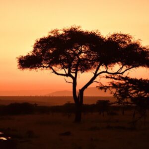KENYA ABERDARE 6 DÍAS