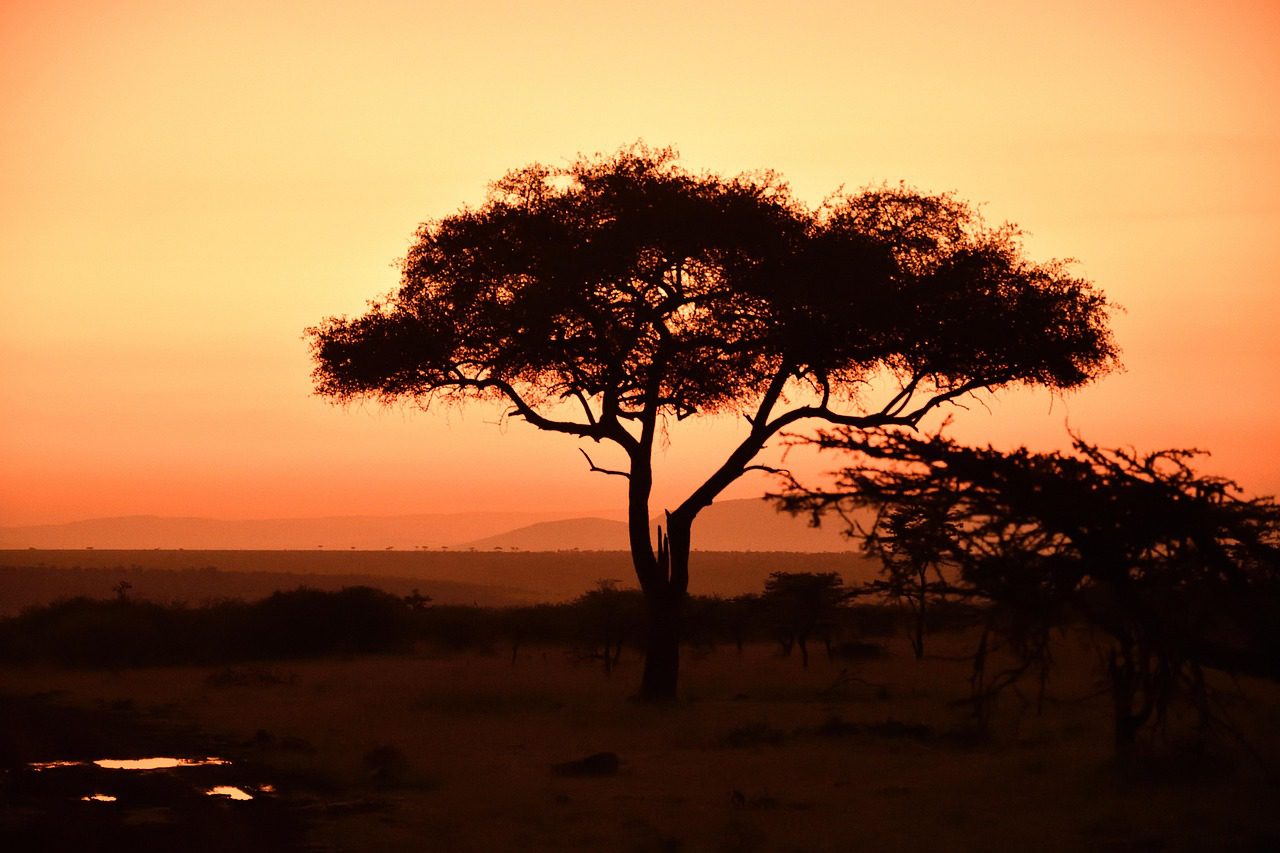 KENYA ABERDARE 6 DÍAS